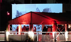 gala murder mystery